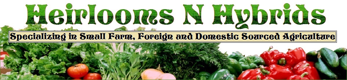 We Offer Tea Plants, Tea Seeds, Coffee Seeds, Coffee Plants, Cocoa Plants, Cocoa Pods, Cocoa Seeds, Cacao Plants, Cacao Seeds, Cinnamon Seeds, Cinnamon Plants, Vanilla Bean Seeds, Vanilla Bean Orchid Cuttings, Peppercorn Plants, Peppercorn Seeds, Ginger Roots, Turmeric Roots, Juniper Seeds, Wormwood Seeds, Anise Seeds, Absinthe Seeds, Chicory Seeds, Saffron Crocus Bulbs and Seeds, White Cotton Seeds, Stratified American Ginseng Seeds, Ginseng Plants, Popcorn Seeds, Oriental Poppy Seeds, Beit Alpha Cucumber Seeds, San Marzano Sauce Paste Tomato Seeds, Green Seeds, Peanut Seeds, Herb Seeds, Spices Seeds, Tropical Seeds, Tropical Plants, Sugarcane Seeds, Sugar Cane Cuttings, Bamboo Seeds, Bamboo Plants, Tobacco Seeds, Exotic Plants, Vanilla Bean Orchids, Burley Tobacco Seeds, Bright Tobacco Seeds, Wrapper Tobacco Seeds and many more interesting agricultural products acquired from small farms Located in Sri Lanka, Brazil, Colombia, Ceylon, Romania, Provence France, Persia, Lebanon, Puerto Rico, Virginia, Tennessee, Kentucky, Maryland, Louisiana, Paris, Florida, Texas, China and Turkey / Turkiye.